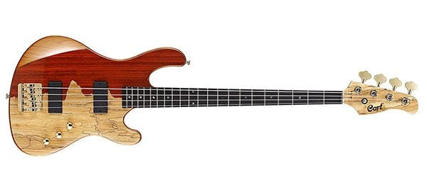 Cort Jeff Berlin Series Rithimic Bass Review – A Surprisingly Great Bass!