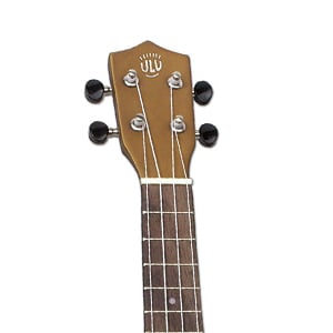 eMedia-Ukulele-neck